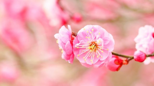 2021年2月の優秀句