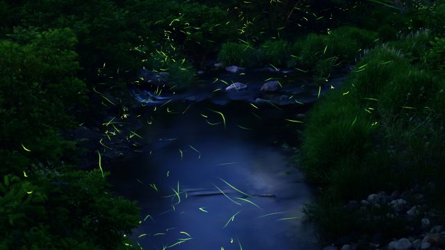 2021年6月の優秀句