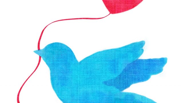 The selected haikus of “Bird/Birds” – December, 2021 to February, 2022