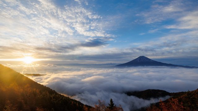 New year’s greetings